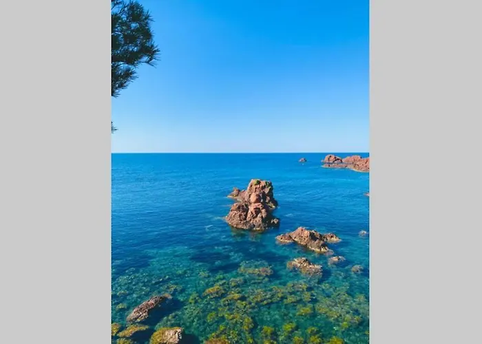 Superbe 4 Couchages Avec Terrasse - Clim - 50M De La Mer