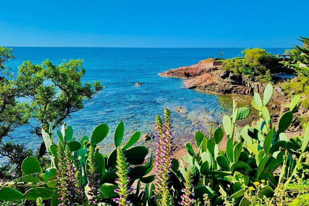 Superbe 4 Couchages Avec Terrasse - Clim - 50m De La * Saint-Raphael (Var)